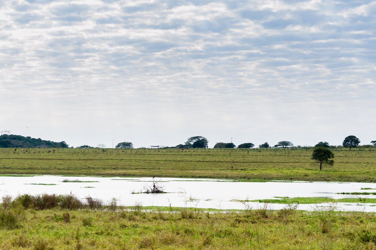 Beat the Cold on a Visit to the Florida Swamps This Winter