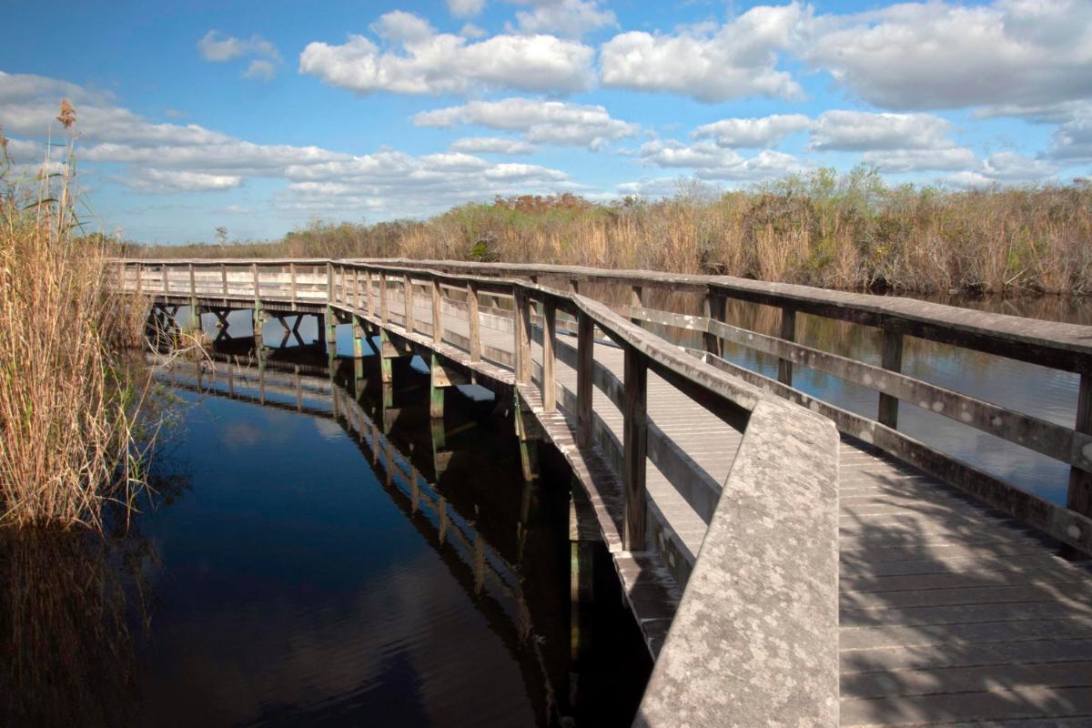 Safety Tips and Rules for the Everglades National Park