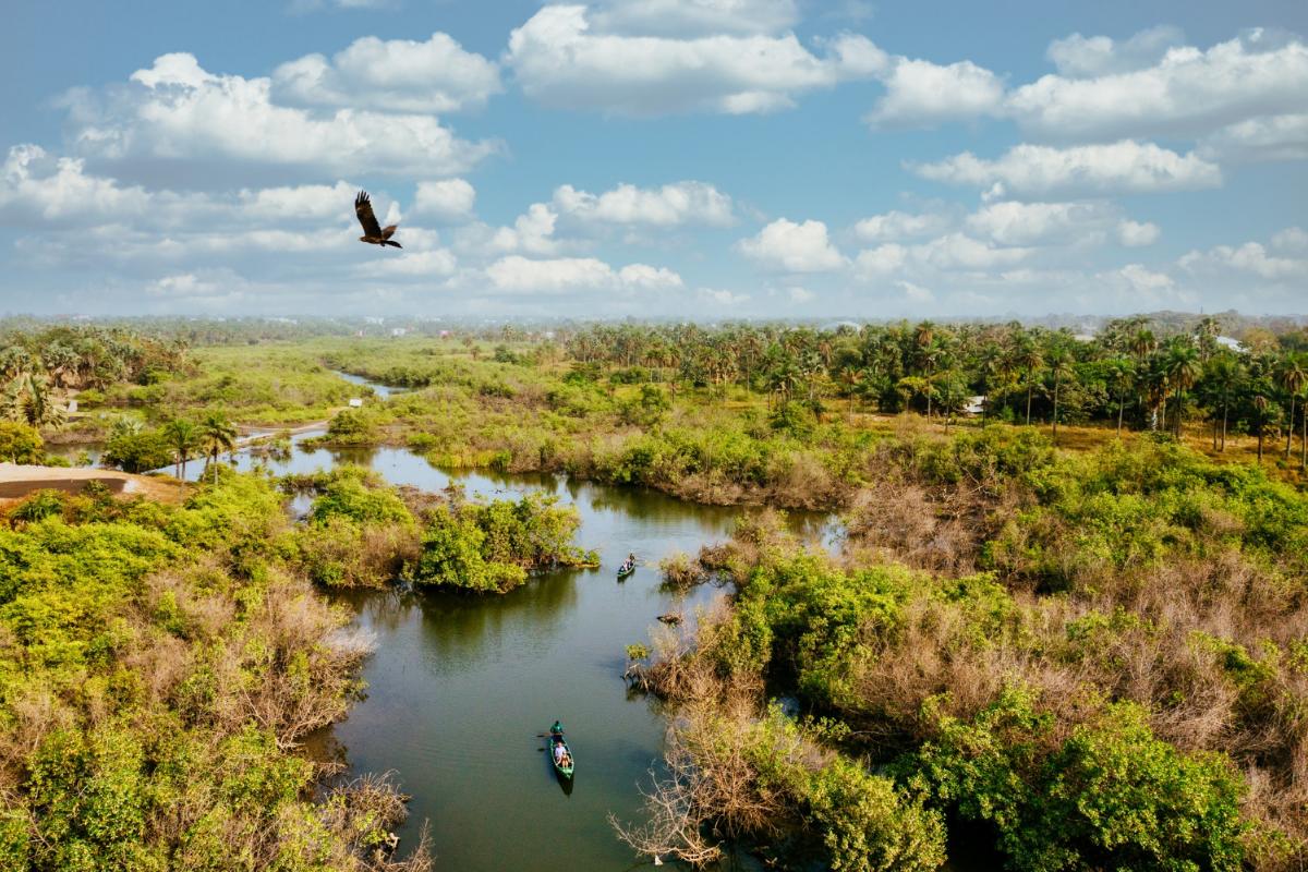 Tips for the Best Airboat Ride Possible