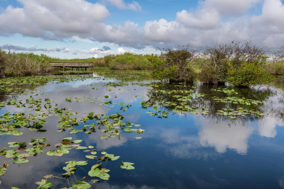 How to Choose the Best Airboat Rides in Orlando