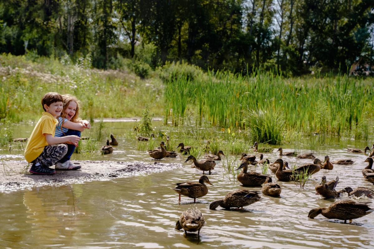 Why to Take Your Kids for an Airboat Ride in Orlando