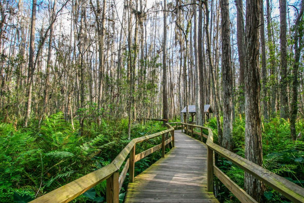 Commonly Asked Questions about Airboat Rides in Orlando