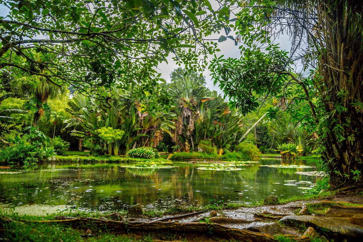 Top Activities to do When Visiting Orlando, Florida