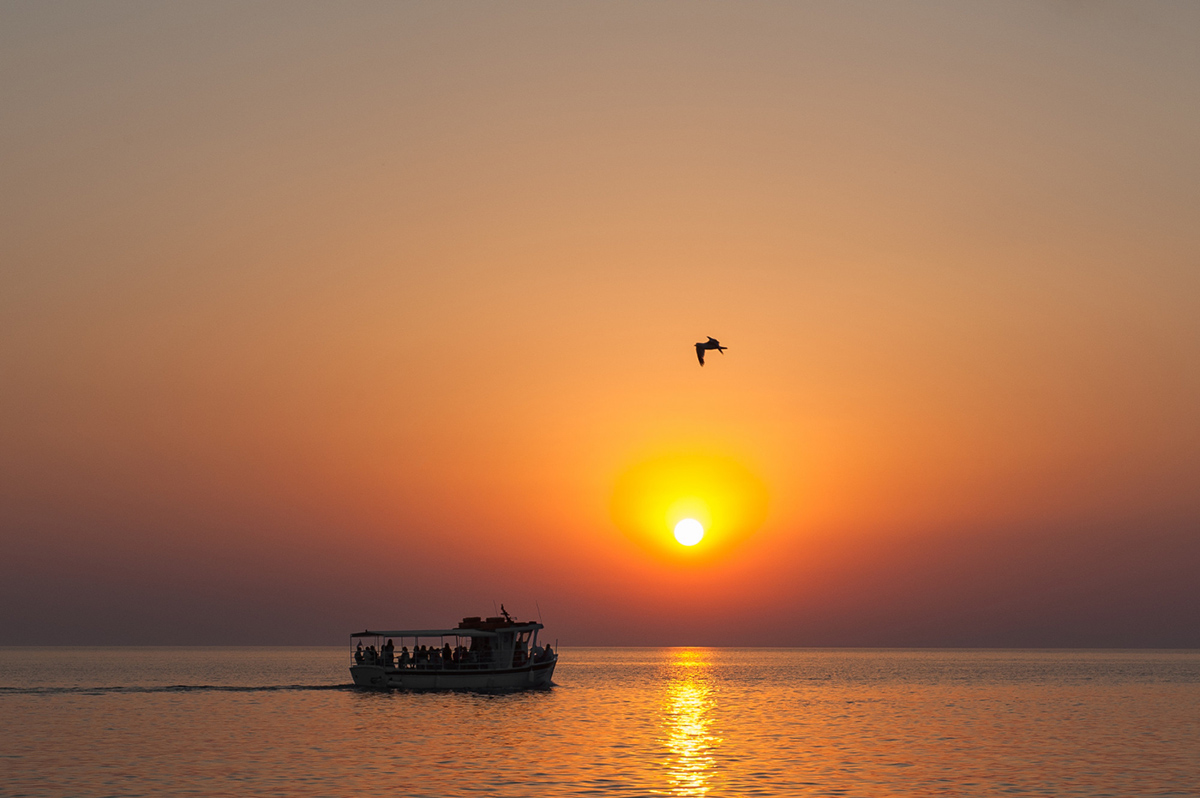 Day vs. Night: Which Is Better for an Orlando Airboat Ride?