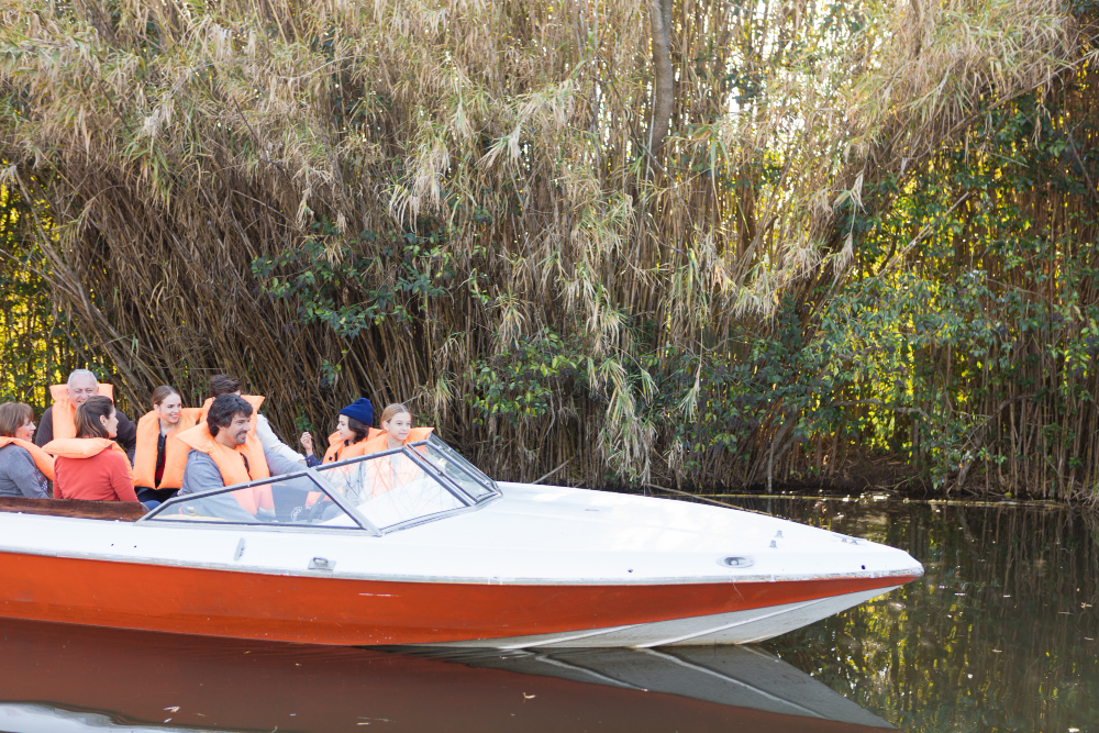 Why Winter is an Ideal Time for Airboat Rides