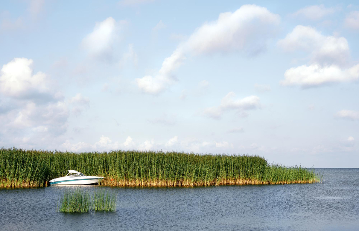 The Best Time to Book an Airboat Ride: Tips and Tricks