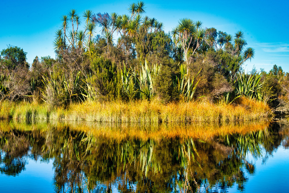 Airboat Rides in Orlando, FL – A Complete Guide