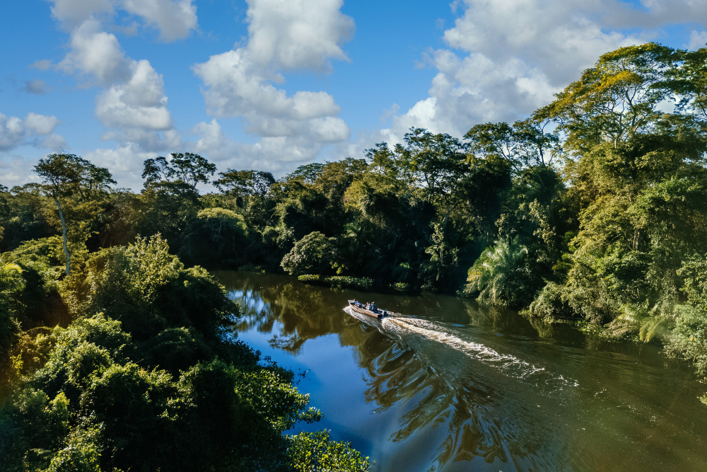 Top Reasons Why Airboat Rides Are the Best of Orlando