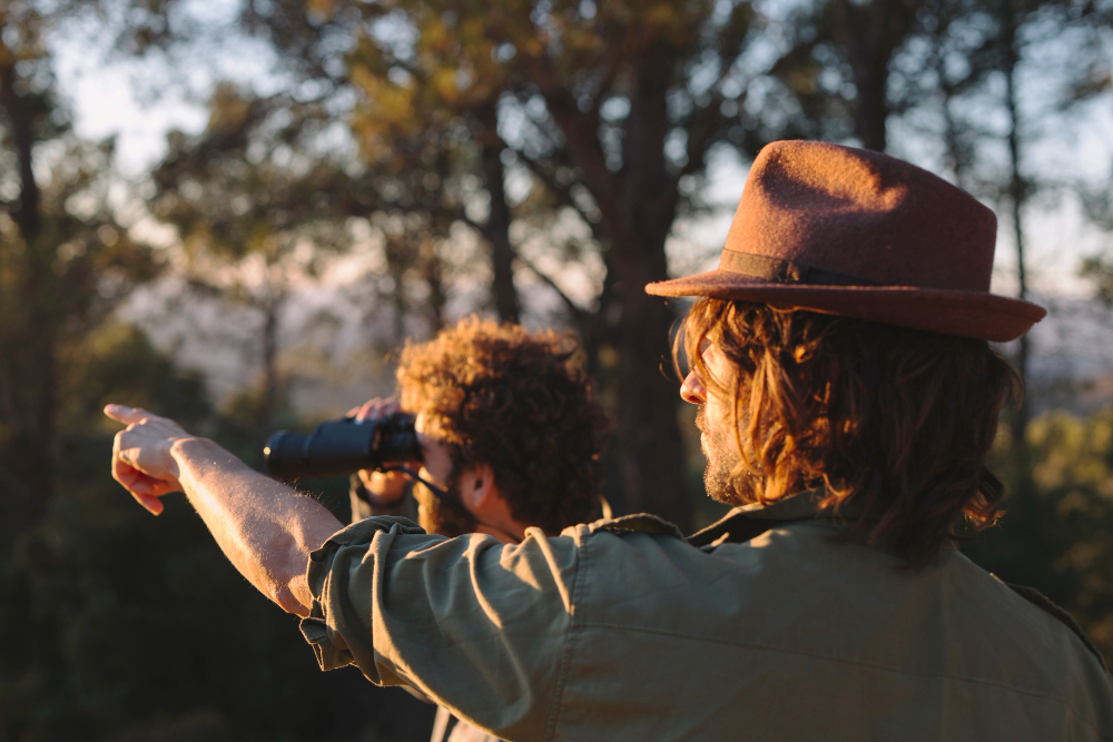 Birdwatching by Airboat: Spotting Florida’s Feathery Friends