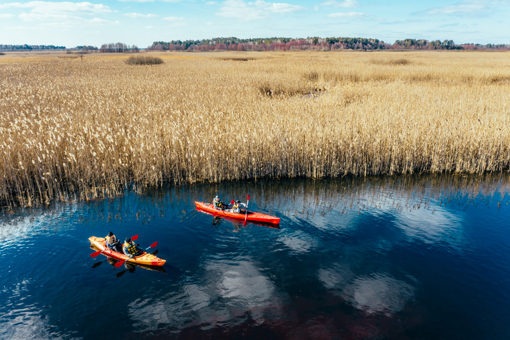 Airboats in Florida's Wetlands: A Fascinating Journey Through Time