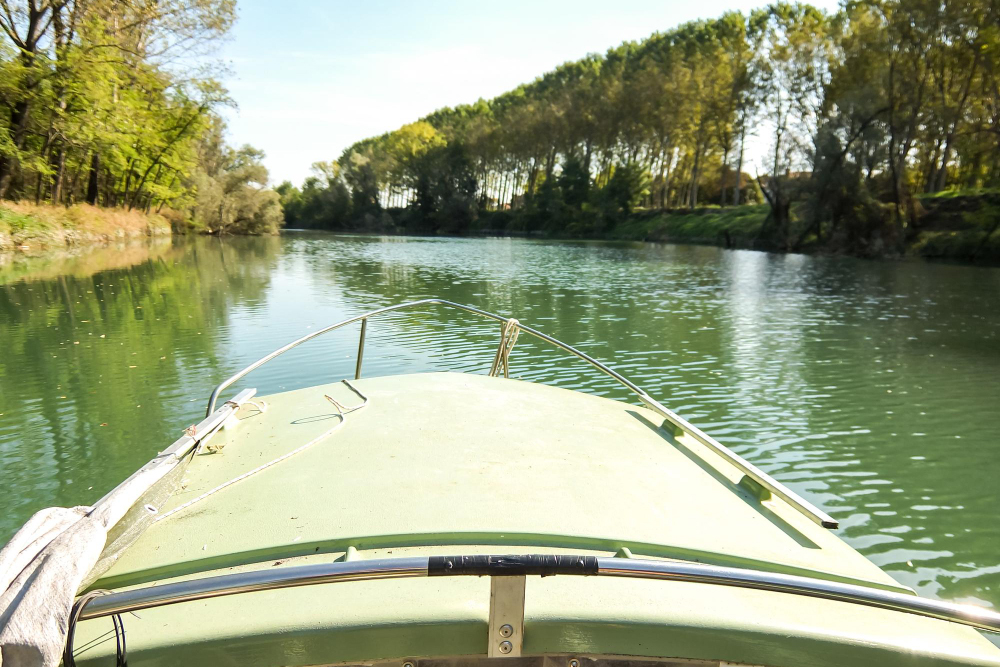 Beyond the Parks: Orlando Airboat Tours & Florida Secrets