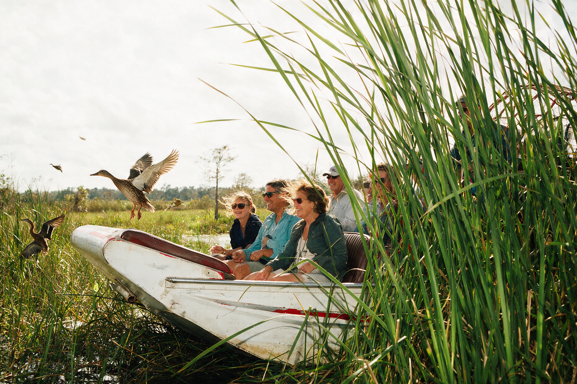 Private vs. Group Airboat Tours: What's the Real Difference on the St. Johns River?