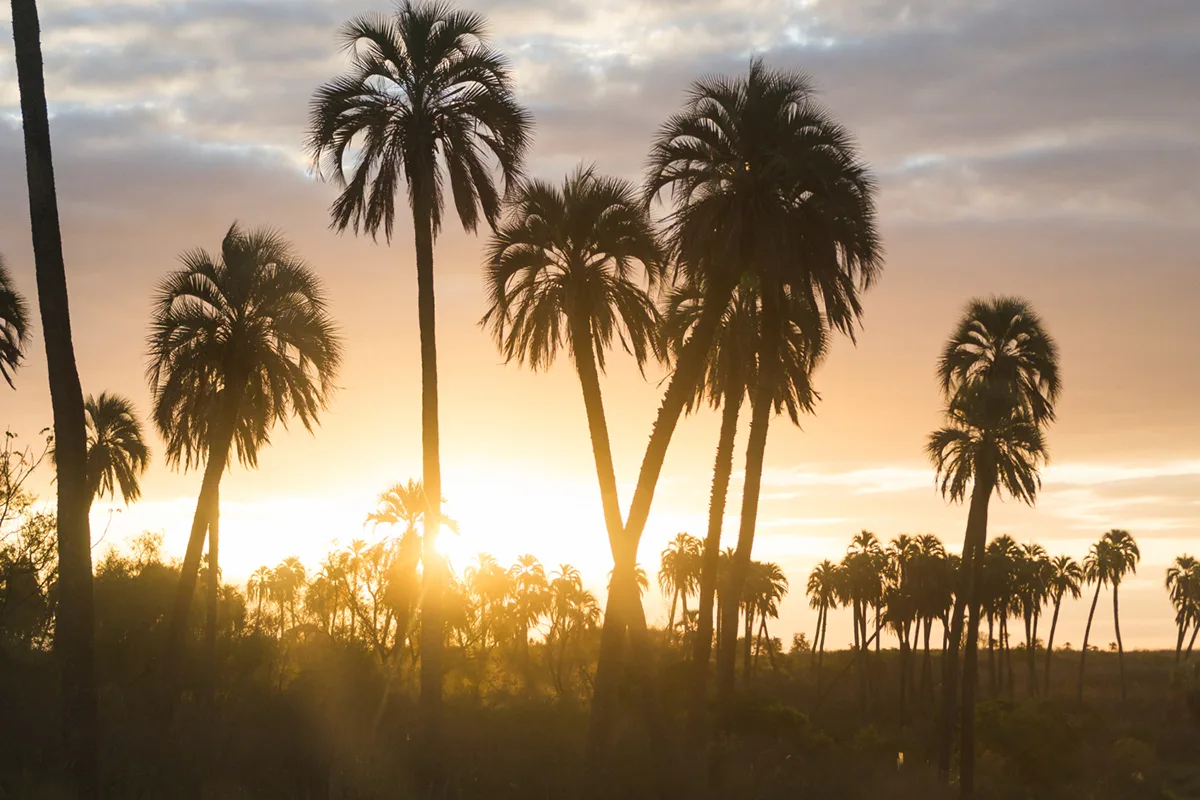 Why Wild Florida is the Best Place to Start Your Vacation
