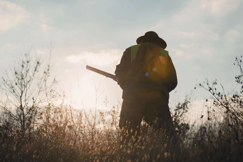 Expert Strategies for Hunting Gators in Orlando FL