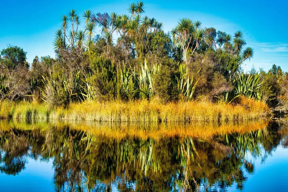 Airboat Rides in Orlando, FL – A Complete Guide