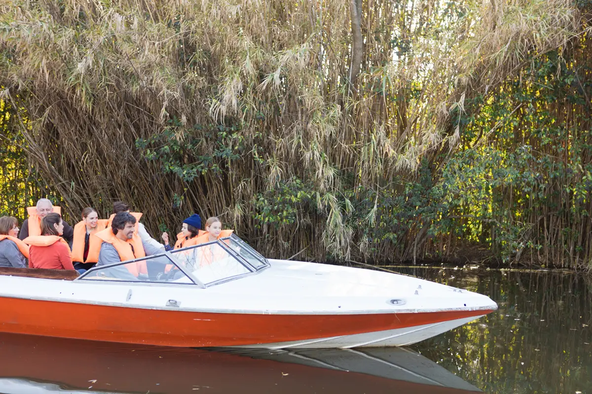 How to Choose the Best Airboat Tour in Orlando
