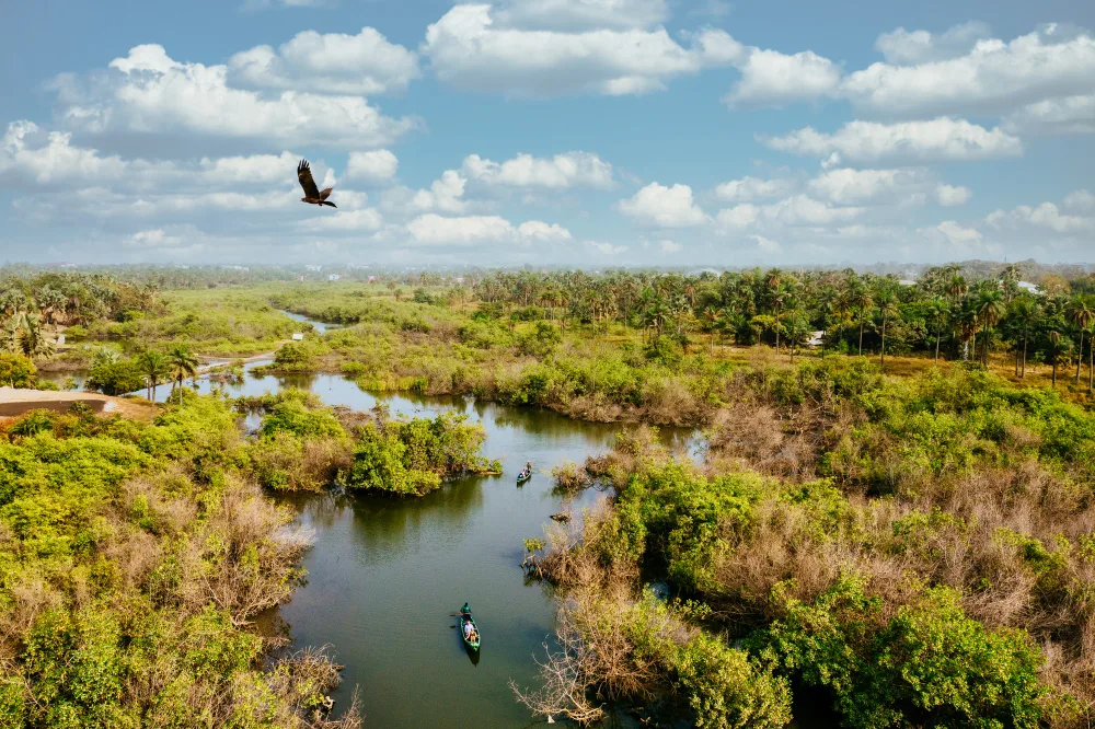 Discover the Hidden Wonders of The Everglades with a Florida Airboat Tour