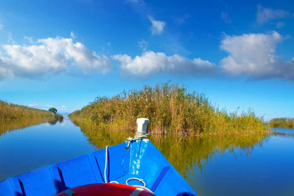 Things That Might Surprise You on Your Airboat Ride