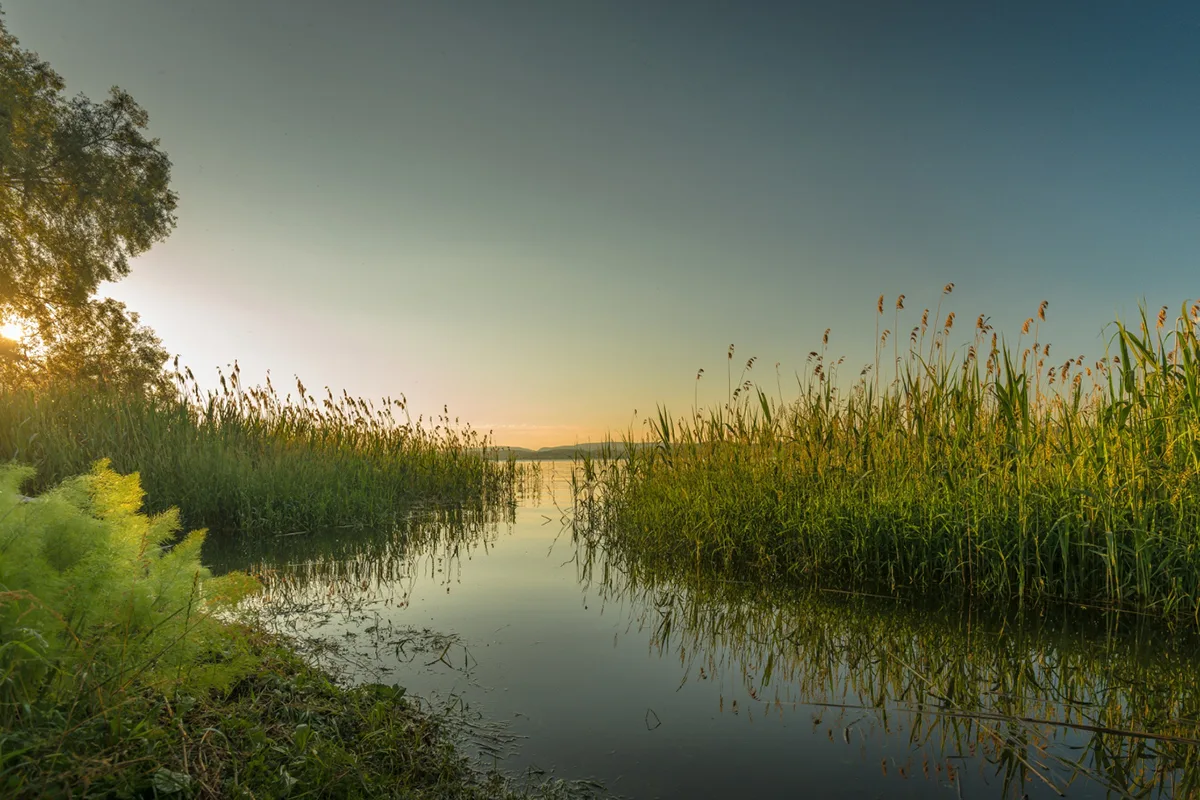 Why a Trip to Florida Should Include Airboat Tours