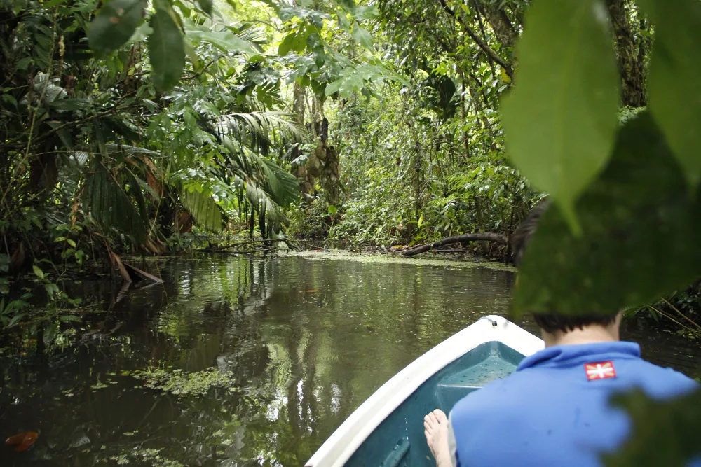 Fun Facts About Airboat Rides in Orlando, FL