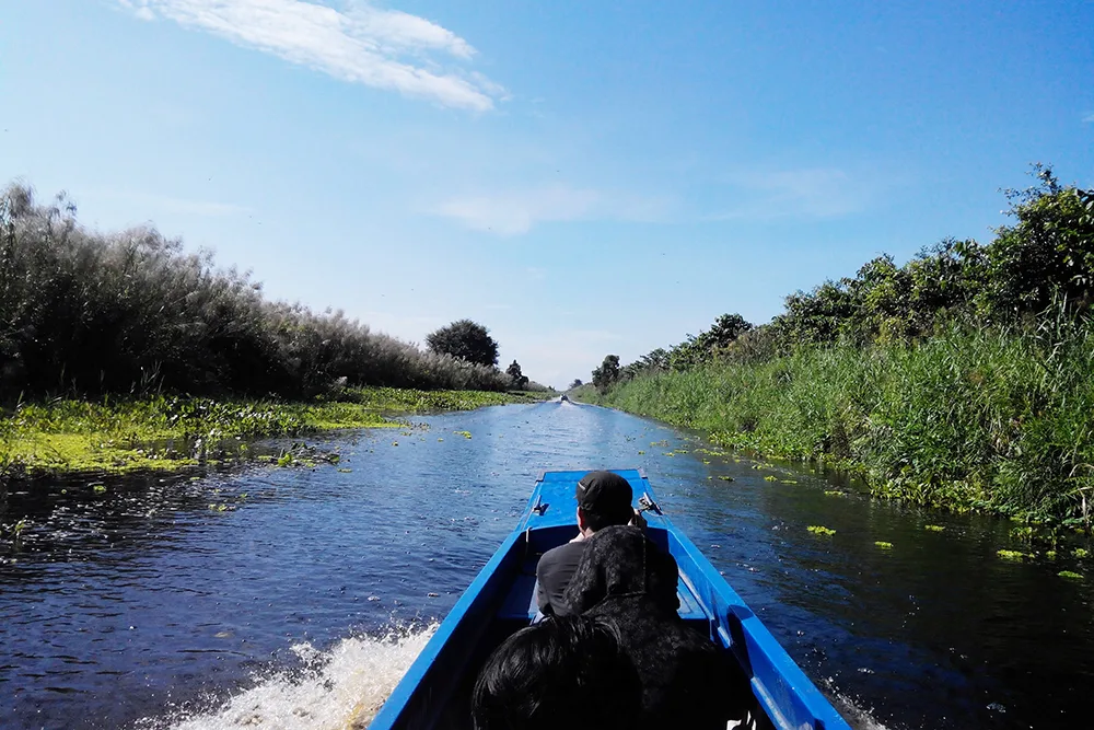 Your Guide to Orlando Airboat Tours