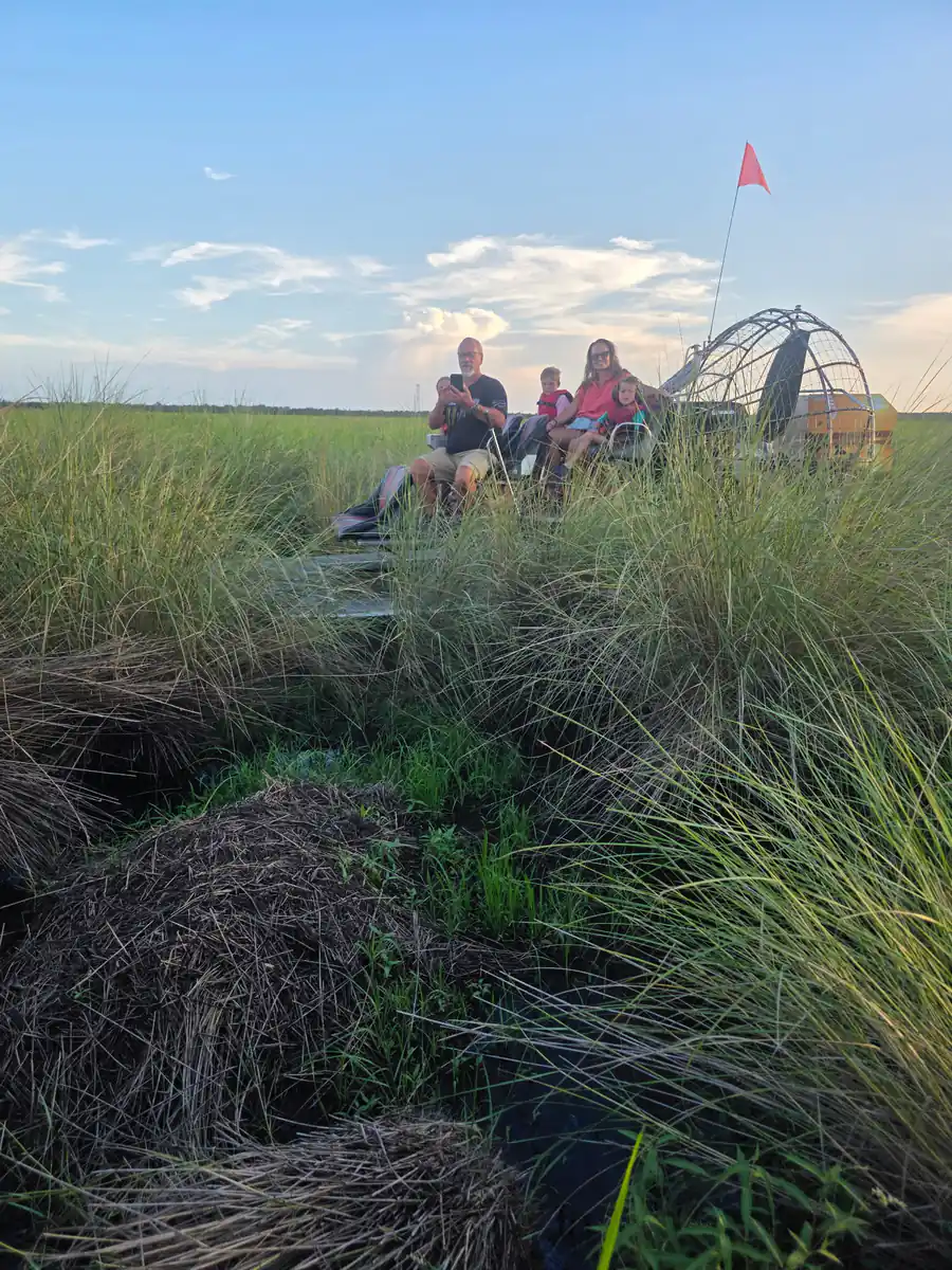 A second airboat carrying the rest of the family stopped on the far side of the same alligator nest in the marsh grass
