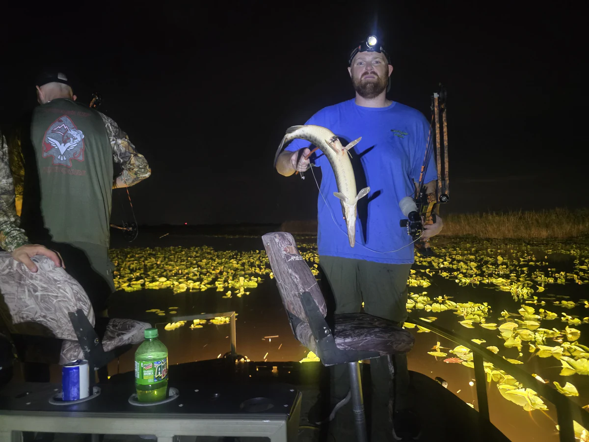 A bow fisherman in a blue shirt holds up a longnose gar on the arrow while the deck lights turn the lily pads behind him gold