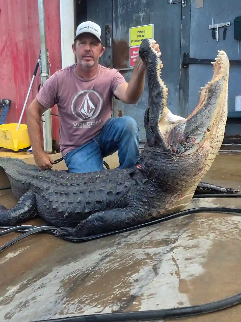 Switchgrass Outfitters Alligator Hunts