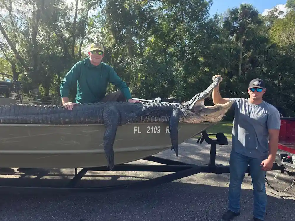 Switchgrass Outfitters Alligator Hunts