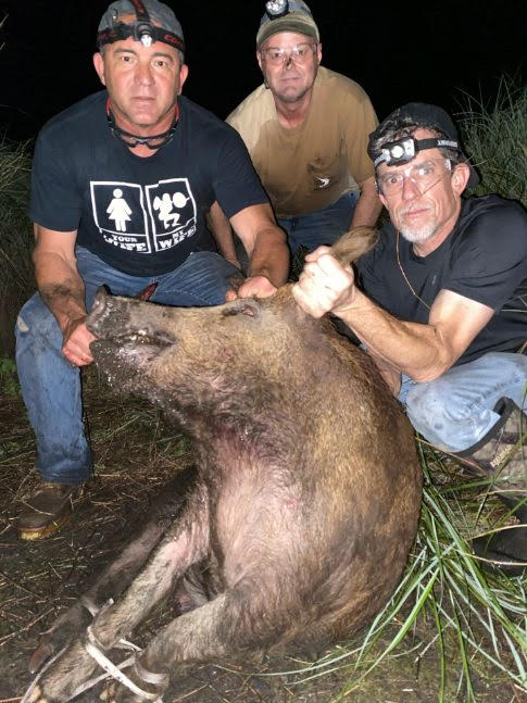 Switchgrass Outfitters Wild Hog Hunts