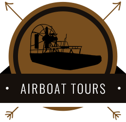 Airboat Tours