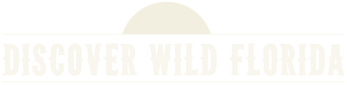 Discover Wild Florida