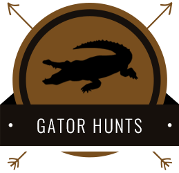 Gator Hunts