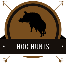 Hog Hunts