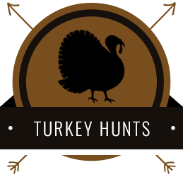 Turkey Hunts