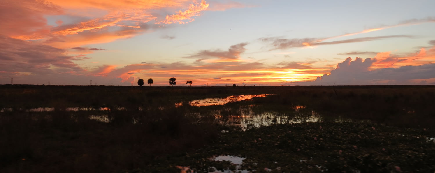 Switchgrass Outfitters & Airboat Tours